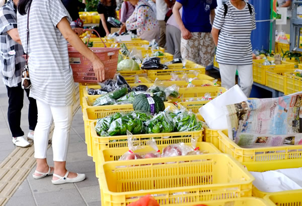 地方創生、特産品の販促コンサルタント