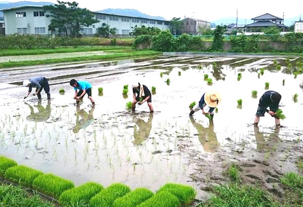 流通を絡めた地域活性コンサルタント